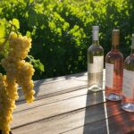 Vinhedos no Vale dos Vinhedos com garrafas de vinhos leves para o verão, criticando opções pesadas.