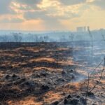 Paisagem do Cerrado no DF com terra queimada e fumaça, ilustrando falhas ambientais e proposta de lei contra queimadas.