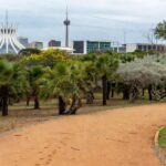 Parque em Brasília com trilhas e vegetação do Cerrado, representando o programa Parque Educador do Instituto Brasília Ambiental.