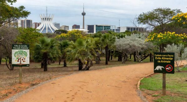 Parque em Brasília com trilhas e vegetação do Cerrado, representando o programa Parque Educador do Instituto Brasília Ambiental.