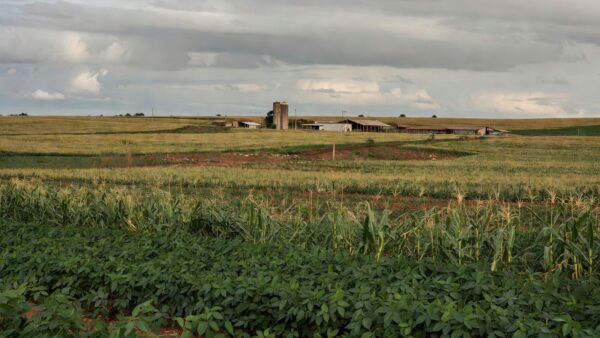 Paisagem rural no DF representando fundo rural em crise fiscal