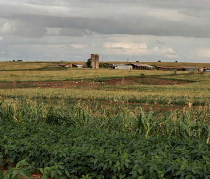 Paisagem rural no DF representando fundo rural em crise fiscal