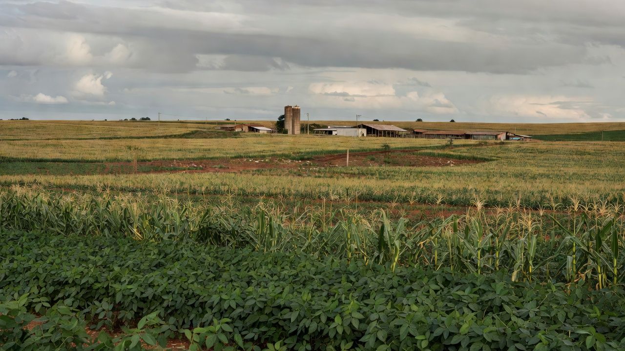 Paisagem rural no DF representando fundo rural em crise fiscal