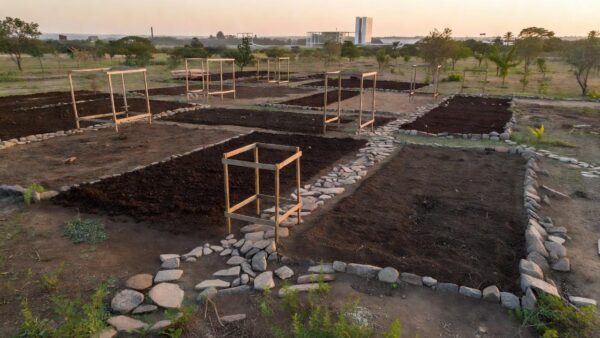 Jardim terapêutico em Brasília, lei que depende de regulamentação no DF